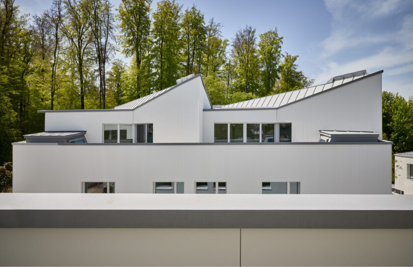 Tiny Homes, Zollikerberg, built by Steib Gmür Geschwendtner Kyburz Architects 2024.
